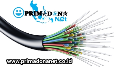 PRIMADONA Net Support Internet Fiber Optik - Fiber Optic Internet Dedicated Bandwidth Untuk Perusahaan dan Pemerintahan