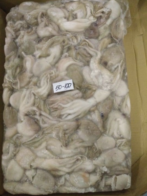 Baby Gurita Fozen | 50-100