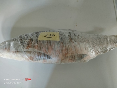 Ikan Empurau | 2 kg - 3.99 kg