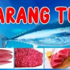 Store Sarang Tuna