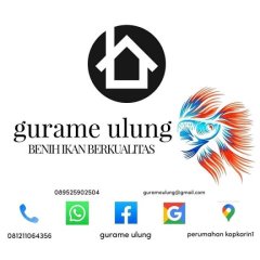 Gurame Ulung