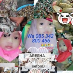 Aresha Seafood Mentah