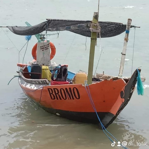 Bromo fishing