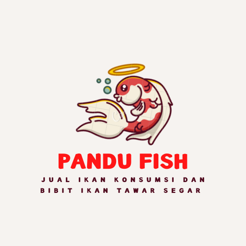 Pandu fish