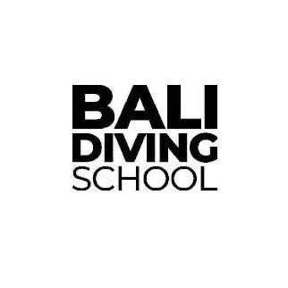 Bali Diving School